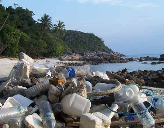 Help Clean up the Coast! International Coastal Clean-up Day