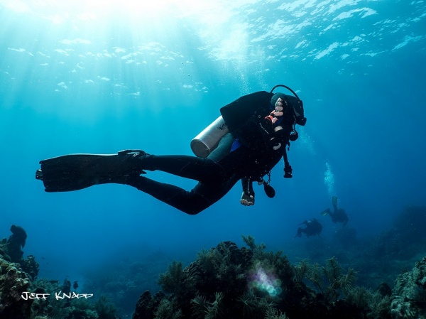 Steps to Becoming a PADI Instructor Scuba Diving Instructor Training Key Largo, FL